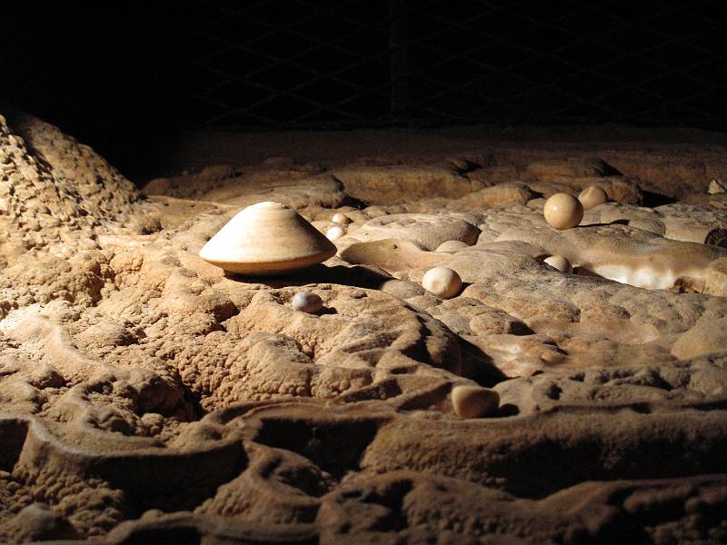 Aquitanien (82).JPG